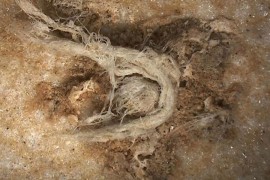 Pronađen kanap koji su napravili Neandertalci, osporena prvobitna ideja