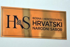 HNS neće podržati rješenja koja nisu u nadležnosti CIK-a