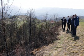 Novalić: Dva aviona za gašenje požara prvi na listi želja