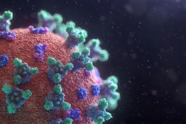 Kako virus korona utiče na mozak?