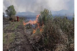Izgorjelo oko 10% površine Hutovog blata