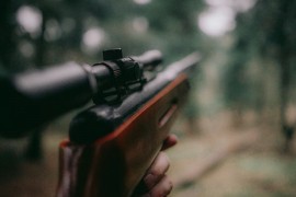 Uhapšen osumnjičeni za ranjavanje čovjeka i ubistvo psa na Sokocu