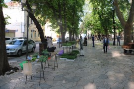 Otvorena gradska pijaca u Trebinju