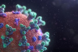 Hrvatski naučnik: Otkud ideja da će virus oslabiti tokom ljeta?