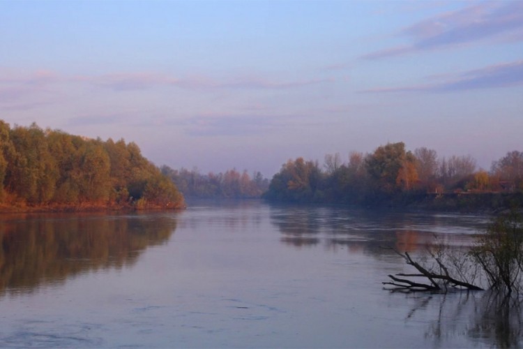 Vic dana: Tarzan skače u Moravu