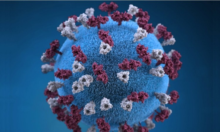 Teoretičari zavjere pronašli virus korona u izvještaju njemačke civilne zaštite