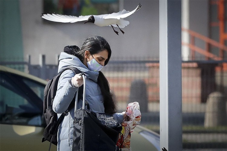 U Bjelorusiji povećan broj zaraženih za 205