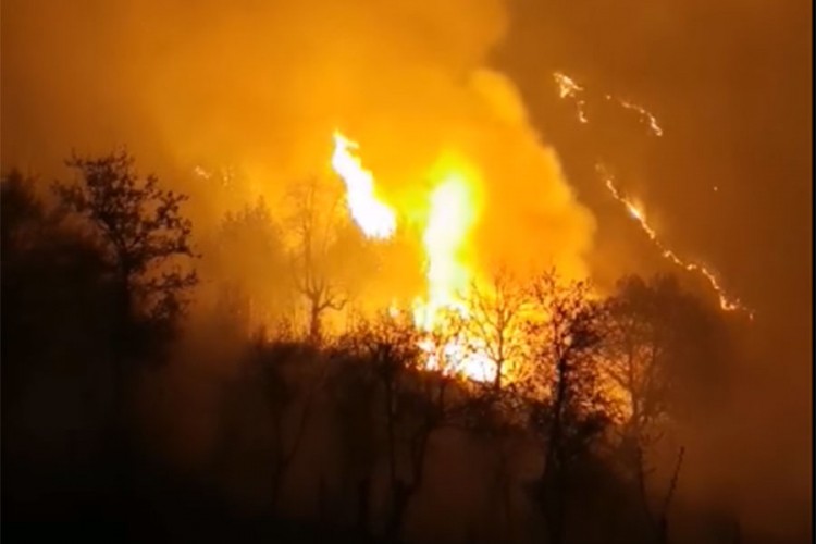 Vatra prijeti kućama u Konjicu, građani i vatrogasci gase požar