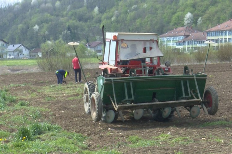 Radnici Srednje poljoprivredne škole zasijali školsko zemljište