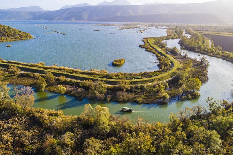 Požar u Parku prirode Hutovo blato, vatrena stihija progutala 30 hektara
