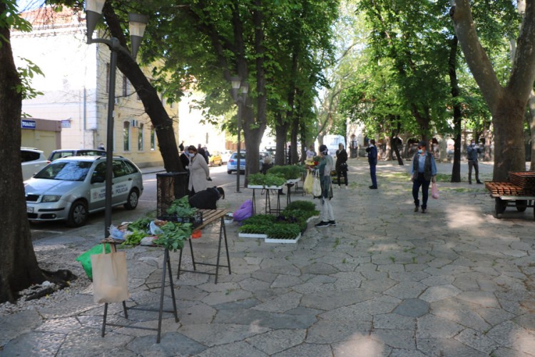 Otvorena gradska pijaca u Trebinju