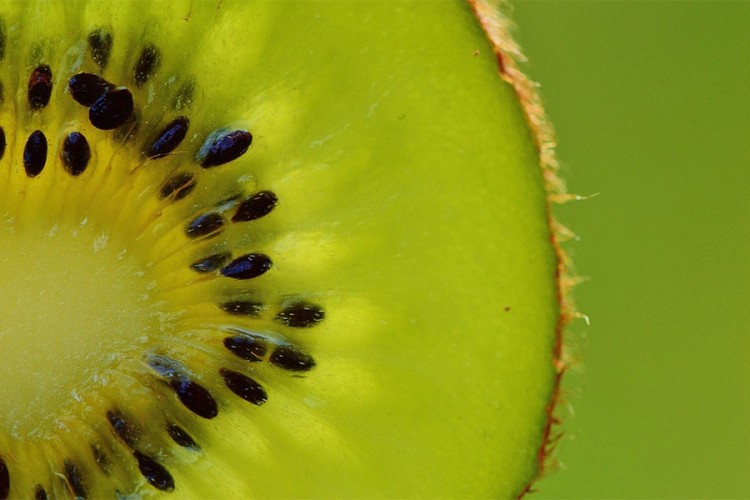 Kivi, vitaminsko čudo koje pomaže u borbi protiv virusa