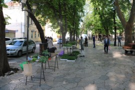 Počinje sa radom gradska pijaca u Trebinju