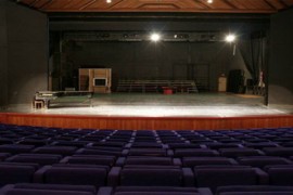 Mijatović: 19. festival bh. drame održaćemo online od 1. do 7. juna