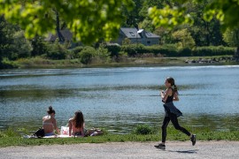 Opada povjerenje Šveđana u odgovor vlasti na pandemiju