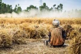 Italijanski farmeri izrabljivali migrante, nazivali ih majmunima
