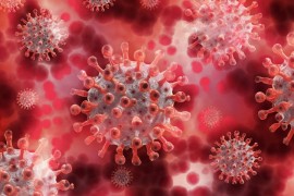 Mediji: Virus u SAD mutirao i postao opasniji