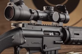 Kultna američka puška M16 u sportskoj varijanti