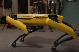 Robot-pas na prodaju: Da li vrijedi 74.500 dolara?