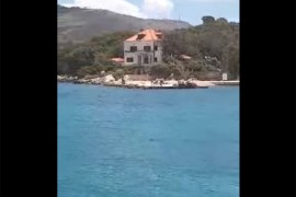 U moru u Dubrovniku snimljen morski pas, kupači u strahu, stigla ...
