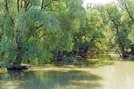 Rumunija proglasila crveni meteoalarm zbog vodostaja Tamiša