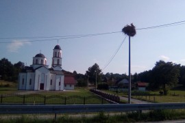 Ljubimci sela Resavci na svijet donijeli ptiće