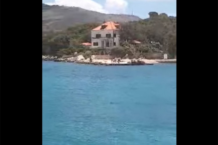U moru u Dubrovniku snimljen morski pas, kupači u strahu, stigla policija