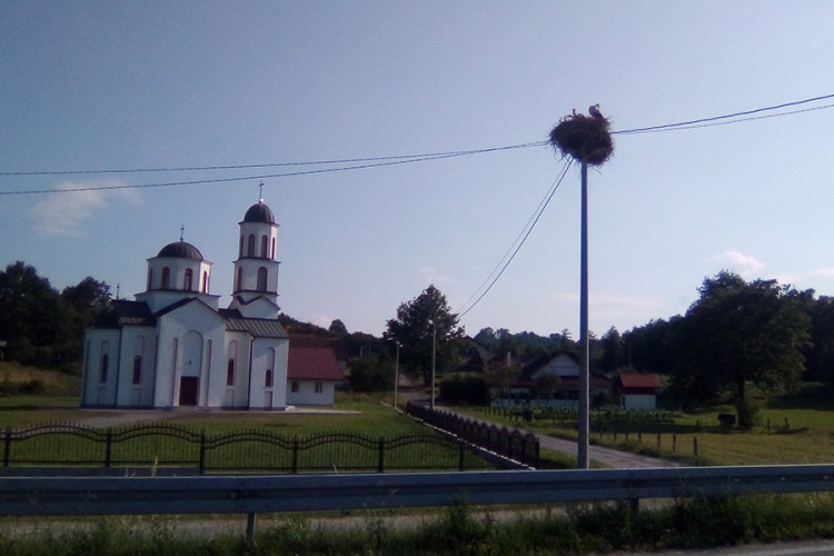 Ljubimci sela Resavci na svijet donijeli ptiće