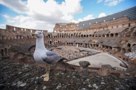 Na vrhuncu turističke sezone u Italiji 40 posto rezervisanog smještaja