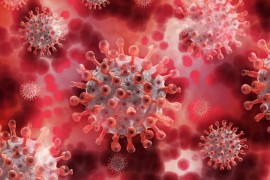 Beograd: Kako je Italija utvrdila da je "srpski" virus agresivniji?