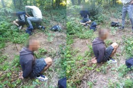 Braća uhapšena dok su obilazila zasad indijske konoplje u Gradišci