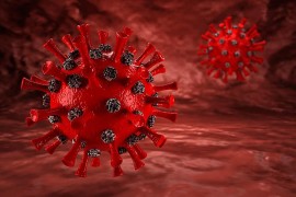 Šta su ACE2 enzimi za koje se navodno vezuje virus korona?