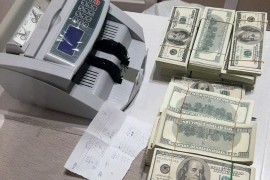 Srbin prevario Amerikance za 110.000 dolara?