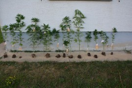 Pretres kuće u Prijedoru, pronađena droga, oružje, bomba, mine