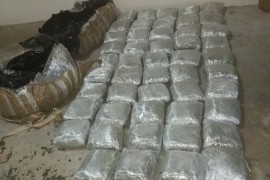 Crnogorska policija traga za vlasnicima 54 kilograma marihuane
