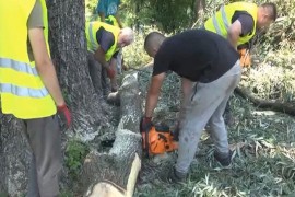 Nezaposleni angažovani na čišćenju izletišta