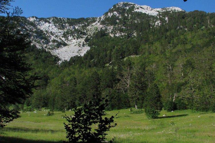 Orjen postaje zaštićeno područje