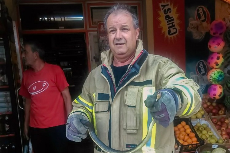 Zmija dopuzala do lokala u centru Prijedora