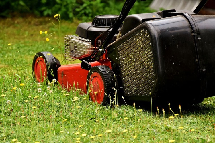 Ostao u čudu kada je vidio kako je komšija pokosio travu