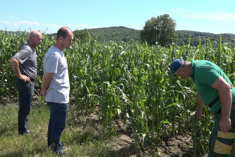 Sanski poljoprivrednici očajni: Nevrijeme oštetilo štale i plastenike