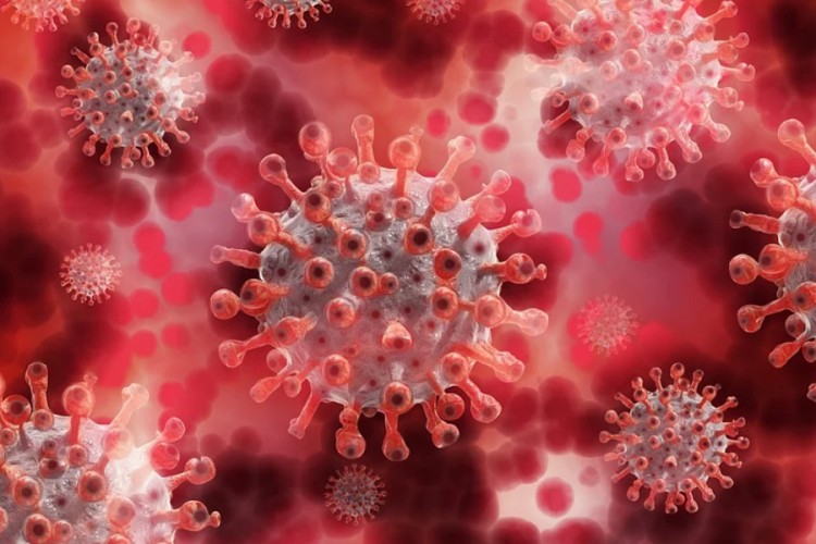 Beograd: Kako je Italija utvrdila da je "srpski" virus agresivniji?