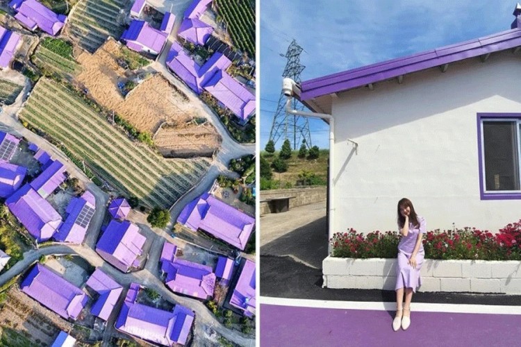 Neobično "Ljubičasto ostrvo" u Južnoj Koreji