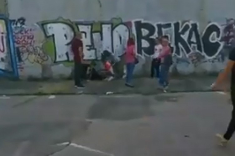 Razjareni pitbul rastrgao manjeg psa i napao dijete u Sarajevu