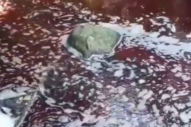 Sarajlije šokirao prizor: Potokom u naselju Nahorevo tekla krv