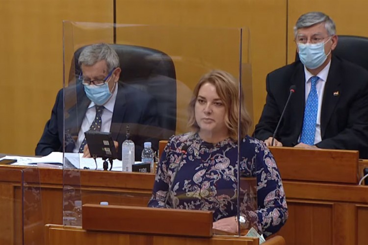 Poslanica govorila o "Oluji" u Saboru: Pred vama je djevojčica iz kolone