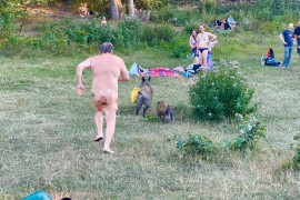 Divlja svinja ukrala nudisti laptop, vlasnik je jurio go