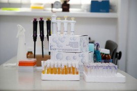 Preminulo još šest osoba u Srbiji, koronom zaraženo još 255