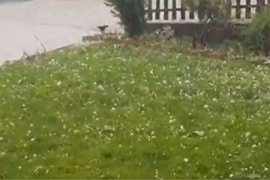 Oluja i grmljavina u dijelovima Srema i Zlatiborskog okruga
