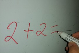 Vic dana: Perica matematičar