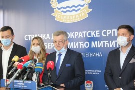 SDS Semberija - Mićo Mićić formirala Odbor za sport